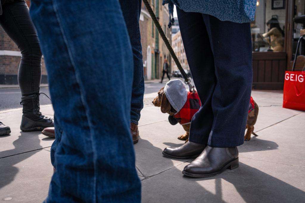 A dachshund on a lead stands patiently at the feet of a group of people, all of whom are wearing grey and blue trousers. The dog is distracted by something across the road and wears a red and navy jacket with a grey hood (out of which poke his ears). Behind is a shopping bag in the same bold red.